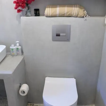 A Cycladic Dream Holiday home Marpissa